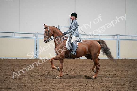 2020 - AB Morgan Horse - Sat, Sept 05 - 03299