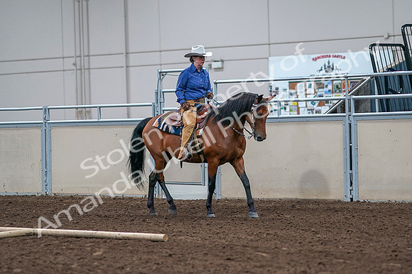 2020 - AB Morgan Horse - Fri, Sept 04 - 00187