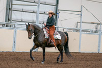 2020 - AB Morgan Horse - Sun, Sept 06 - 01539