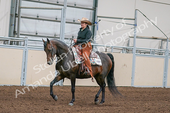 2020 - AB Morgan Horse - Sun, Sept 06 - 01539