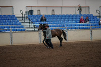 2019 Morgan Horse Show - Aug 30, 2019 - 25689