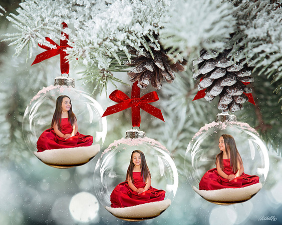 Frosted Glass Ornaments Olivia 8x10