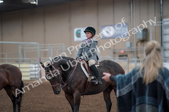 2019 Morgan Horse Show - Aug 31, 2019 - 19702