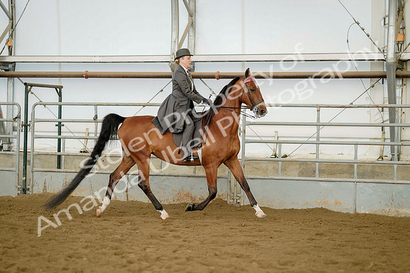 July 21, 2019 - 01768