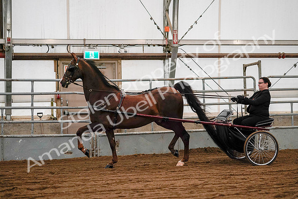 July 19, 2019 - 7039