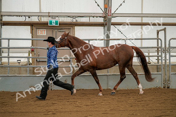 July 19, 2019 - 1295