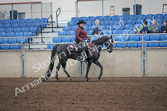2019 Morgan Horse Show - Aug 31, 2019 - 10755