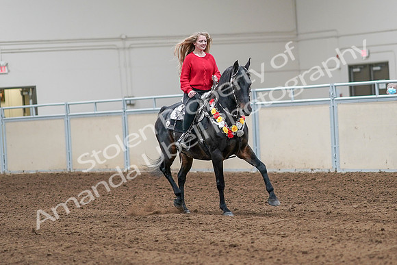 2020 - AB Morgan Horse - Sat, Sept 05 - 10495