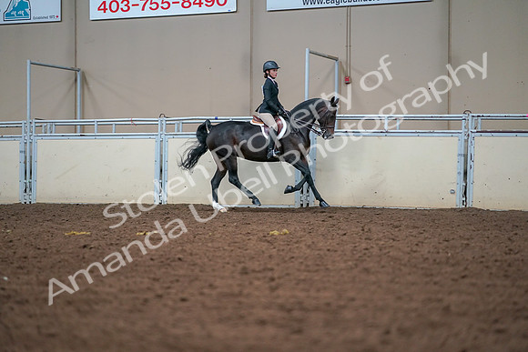 2019 Morgan Horse Show - Aug 30, 2019 - 21081