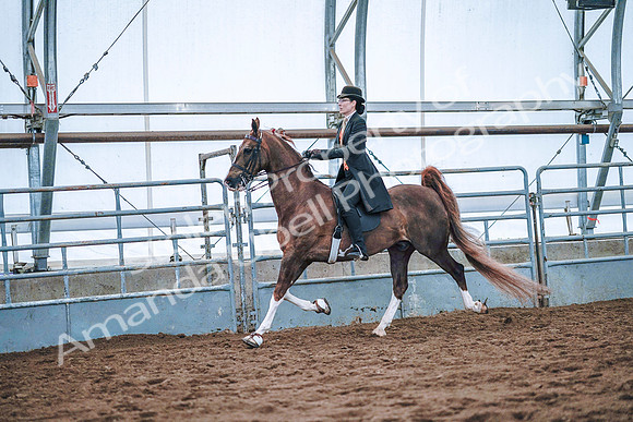 July 20, 2019 - 23829