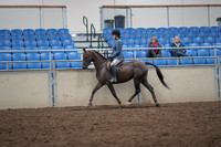 2019 Morgan Horse Show - Aug 31, 2019 - 16509