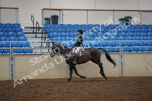 2019 Morgan Horse Show - Aug 30, 2019 - 23449