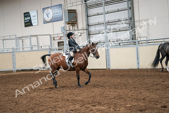 2020 - AB Morgan Horse - Sun, Sept 06 - 07986