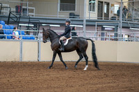 2020 - AB Morgan Horse - Fri, Sept 04 - 01990