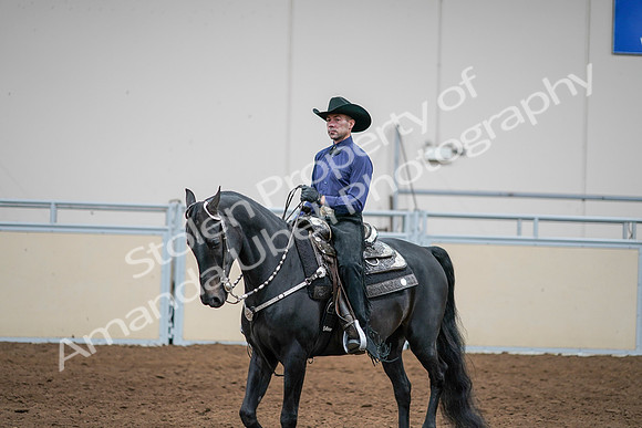 2020 - AB Morgan Horse - Sun, Sept 06 - 07601