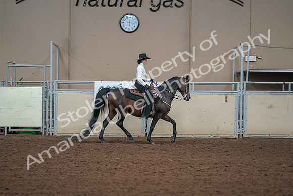2019 Morgan Horse Show - Aug 30, 2019 - 17007