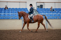 2019 Morgan Horse Show - Aug 30, 2019 - 16012