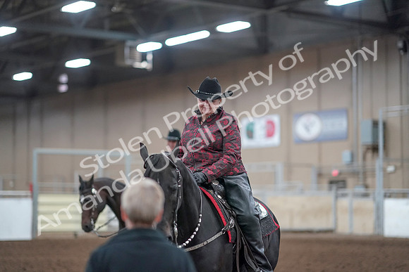 2019 Morgan Horse Show - Aug 31, 2019 - 10799