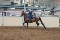 2020 - AB Morgan Horse - Sat, Sept 05 - 04744