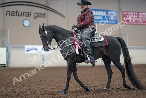2019 Morgan Horse Show - Aug 31, 2019 - 10812