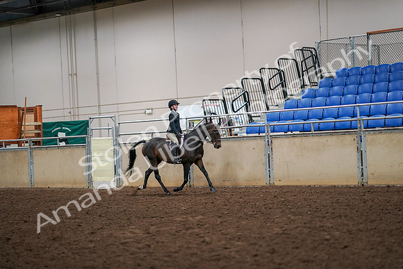 2019 Morgan Horse Show - Aug 30, 2019 - 12401