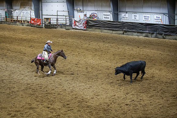 DSC01695