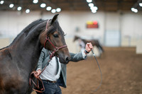 2020 - AB Morgan Horse - Sat, Sept 05 - 00253