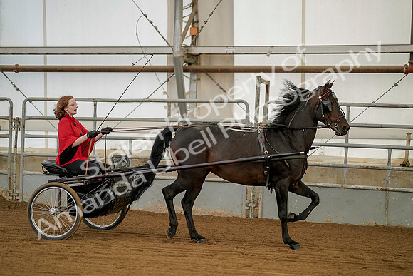 July 20, 2019 - 00211
