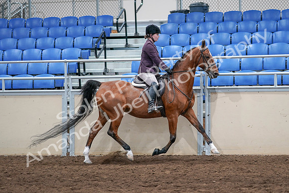2020 - AB Morgan Horse - Sat, Sept 05 - 03225