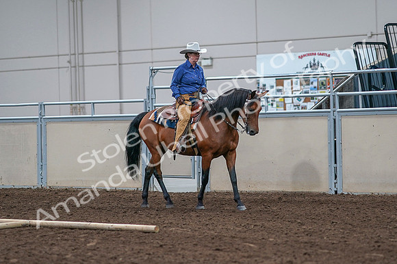 2020 - AB Morgan Horse - Fri, Sept 04 - 00188