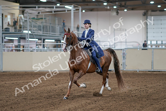 2020 - AB Morgan Horse - Sat, Sept 05 - 06068