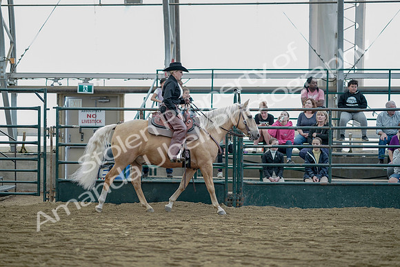 July 21, 2019 - 06850