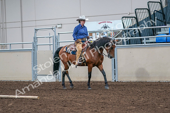 2020 - AB Morgan Horse - Fri, Sept 04 - 00193