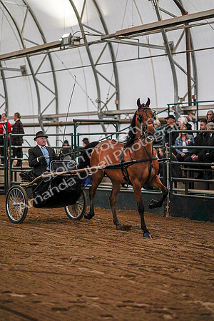 July 19, 2019 - 6926