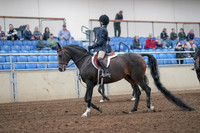 2019 Morgan Horse Show - Aug 31, 2019 - 19381