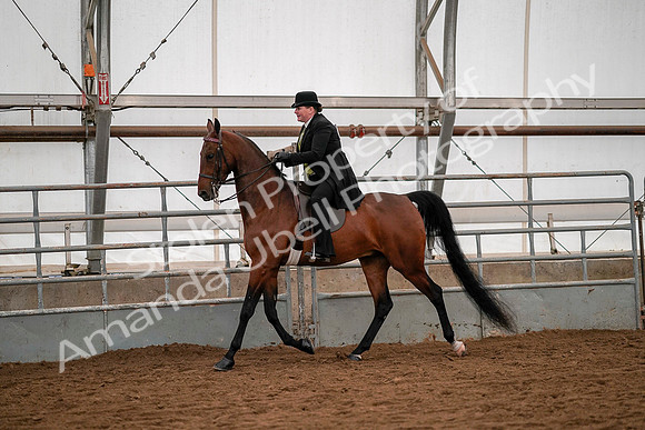 July 19, 2019 - 10272