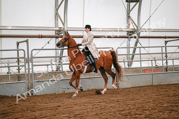 July 19, 2019 - 9003