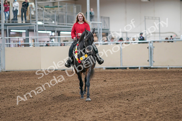 2020 - AB Morgan Horse - Sat, Sept 05 - 10529