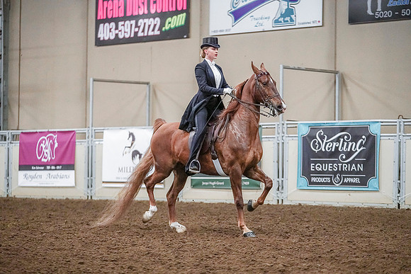 Spring Fling - Saturday - April 20, 2019  -  04194