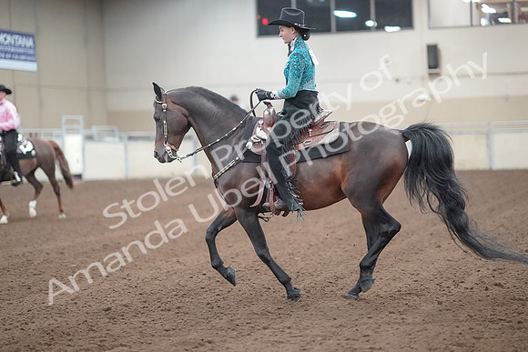 2019 Morgan Horse Show - Sept 01, 2019 - 06985