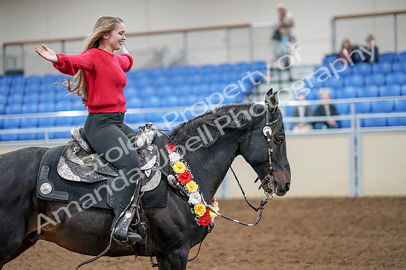 2020 - AB Morgan Horse - Sat, Sept 05 - 10566