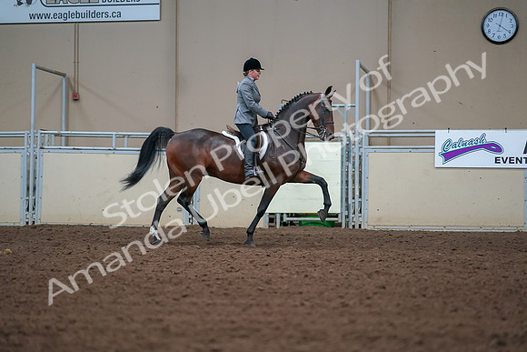 2019 Morgan Horse Show - Aug 30, 2019 - 20941