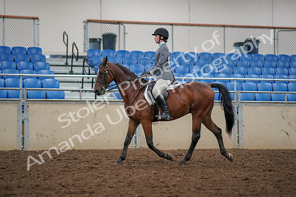 2019 Morgan Horse Show - Aug 30, 2019 - 23364