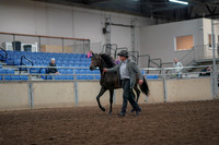 2019 Morgan Horse Show - Aug 31, 2019 - 03375