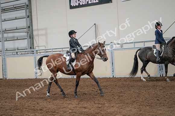 2020 - AB Morgan Horse - Sun, Sept 06 - 07994