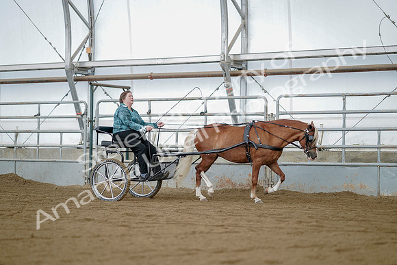 July 21, 2019 - 05989