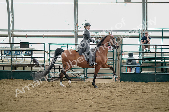 July 21, 2019 - 01833