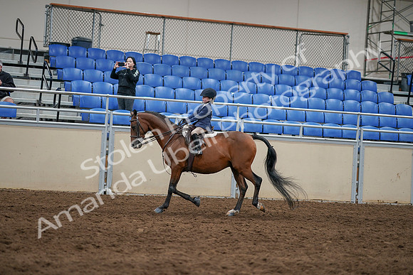 2020 - AB Morgan Horse - Sun, Sept 06 - 07837