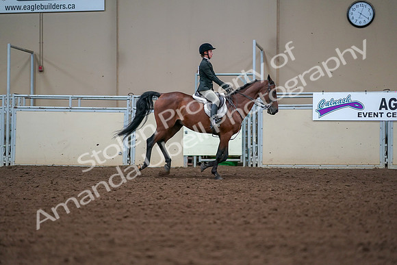 2019 Morgan Horse Show - Aug 30, 2019 - 21043