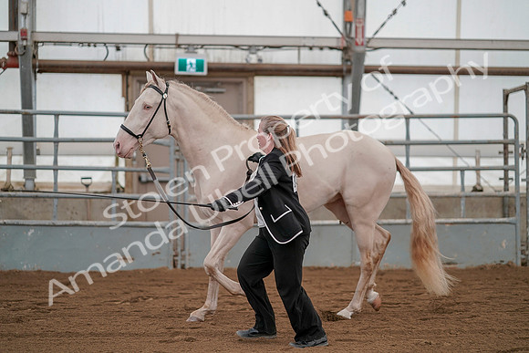 July 19, 2019 - 1337